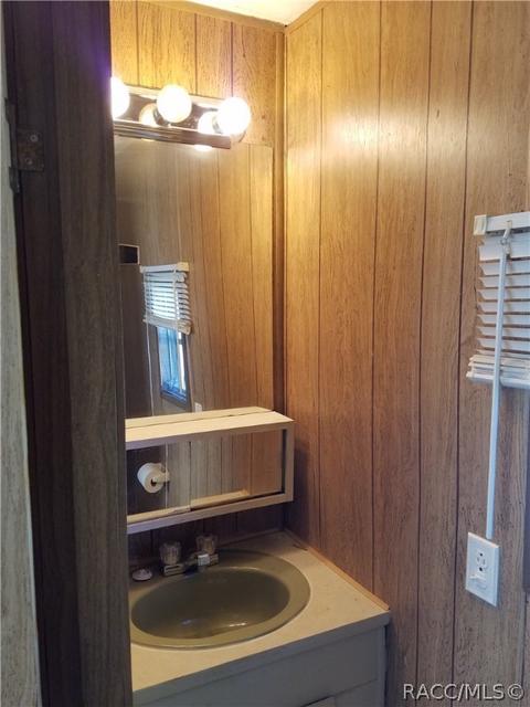 4524 N Canoe Ter, Hernando, FL 34442 photo 21
