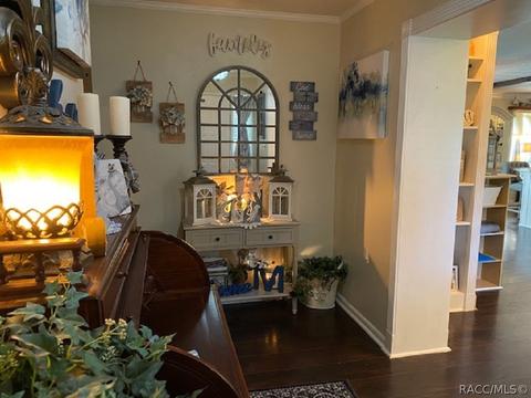 3735 E Turquoise Dr, Hernando, FL 34442 photo 3