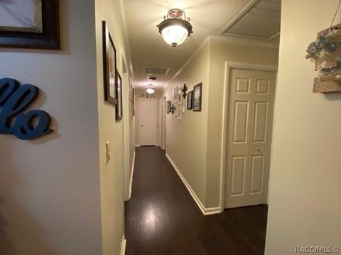 3735 E Turquoise Dr, Hernando, FL 34442 photo 18