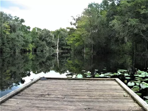 6771 N Charles Ter, Hernando, FL 34442 photo 38