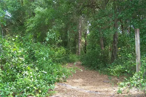 6771 N Charles Ter, Hernando, FL 34442 photo 33