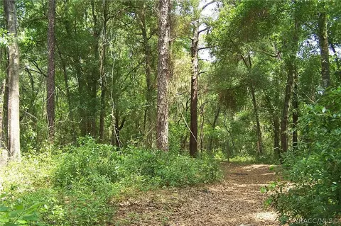 6771 N Charles Ter, Hernando, FL 34442 photo 35