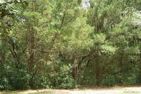 6771 N Charles Ter, Hernando, FL 34442 photo 12