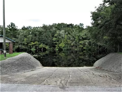 6771 N Charles Ter, Hernando, FL 34442 photo 39