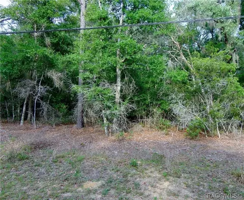 2656 N Leesburg Ave, Hernando, FL 34442 photo 2
