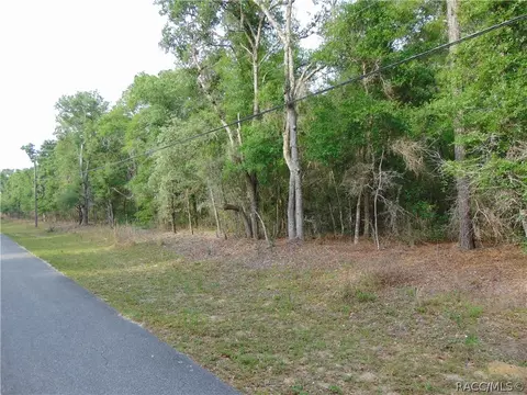 2656 N Leesburg Ave, Hernando, FL 34442 photo 1