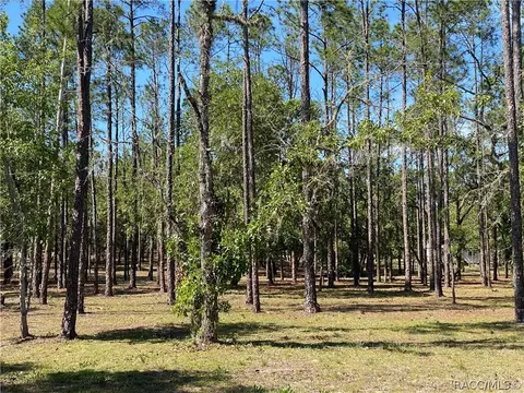 2365 E Verde Ct, Hernando, FL 34442 photo 35