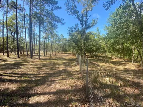 2365 E Verde Ct, Hernando, FL 34442 photo 37