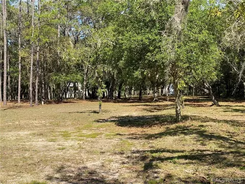 2365 E Verde Ct, Hernando, FL 34442 photo 38