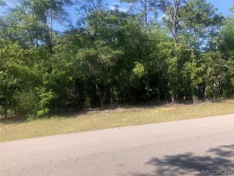 1375 E Mckinley St, Hernando, FL 34442 photo 2