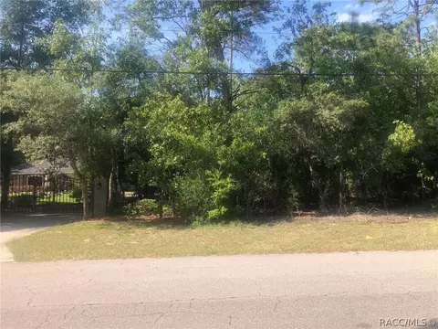 1375 E Mckinley St, Hernando, FL 34442 photo 1