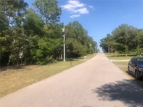 1375 E Mckinley St, Hernando, FL 34442 photo 3