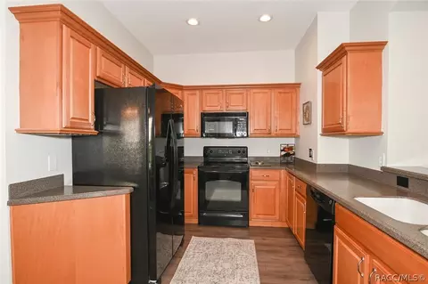 1650 W Spring Meadow Loop, Lecanto, FL 34461 photo 21