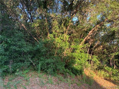 1876 E Monopoly Loop, Inverness, FL 34453 photo 3