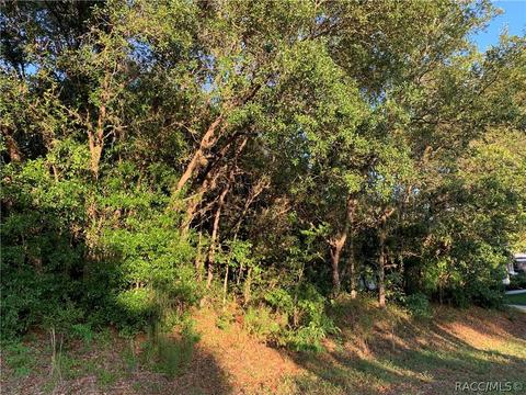 1876 E Monopoly Loop, Inverness, FL 34453 photo 2