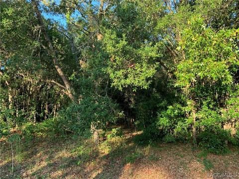 1876 E Monopoly Loop, Inverness, FL 34453 photo 1