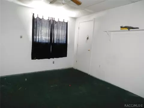 3456 E Adams St, Hernando, FL 34442 photo 21