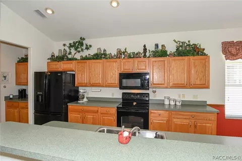 1340 W Skyview Crossing Dr, Hernando, FL 34442 photo 13