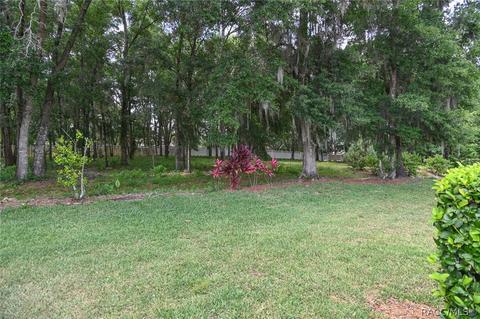 325 W Doerr Path, Hernando, FL 34442 photo 8