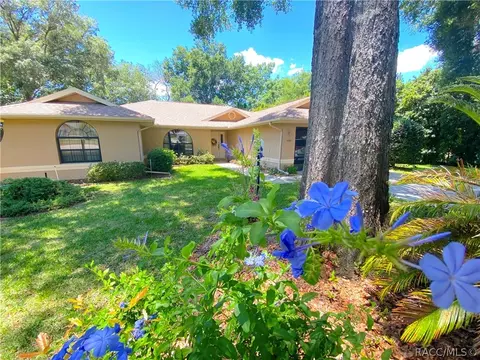 1360 E Silver Thorn Loop, Hernando, FL 34442 photo 43