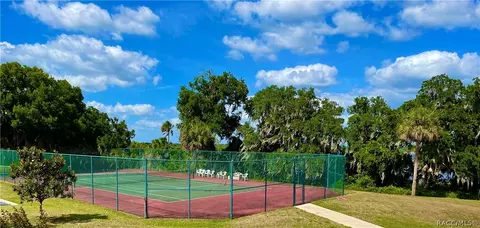 3691 E Lake Todd Dr, Hernando, FL 34442 photo 48