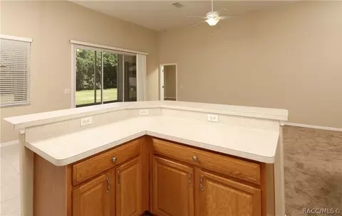 2009 N Lakecrest Loop, Hernando, FL 34442 photo 9