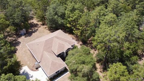 3618 N Eisenhower Ave, Hernando, FL 34442 photo 42