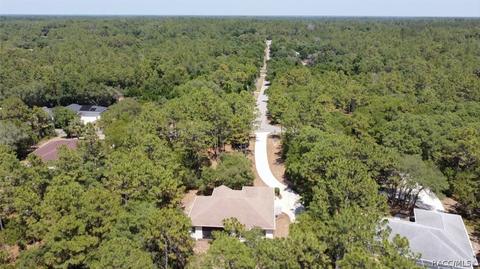 3618 N Eisenhower Ave, Hernando, FL 34442 photo 41