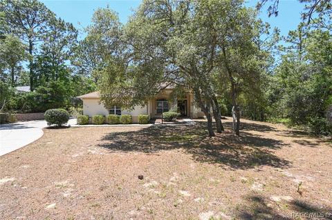 3618 N Eisenhower Ave, Hernando, FL 34442 photo 43