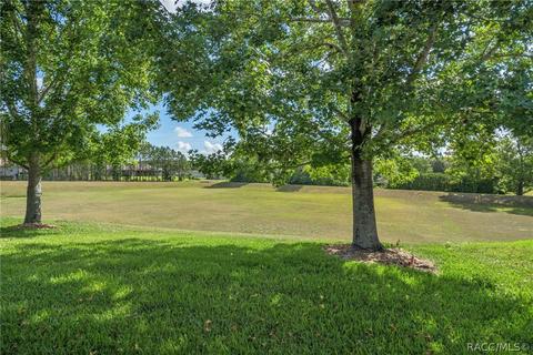 67 W Doerr Path, Hernando, FL 34442 photo 33