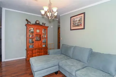 2980 E Blueberry Ln, Hernando, FL 34442 photo 39