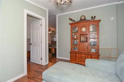 2980 E Blueberry Ln, Hernando, FL 34442 photo 40