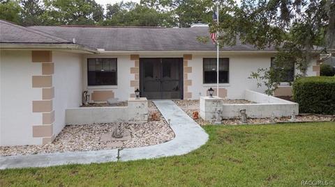 250 E Buckingham Dr, Lecanto, FL 34461 photo 50