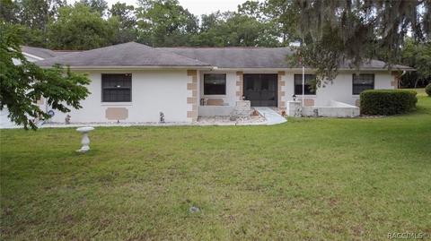 250 E Buckingham Dr, Lecanto, FL 34461 photo 49