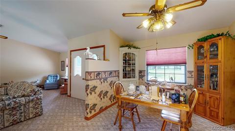 250 E Buckingham Dr, Lecanto, FL 34461 photo 10