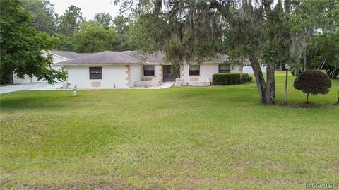250 E Buckingham Dr, Lecanto, FL 34461 photo 32