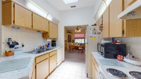 250 E Buckingham Dr, Lecanto, FL 34461 photo 14