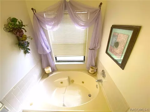 335 N Turkey Pine Loop, Lecanto, FL 34461 photo 31