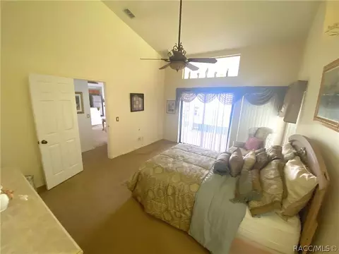 335 N Turkey Pine Loop, Lecanto, FL 34461 photo 28
