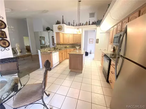 335 N Turkey Pine Loop, Lecanto, FL 34461 photo 21