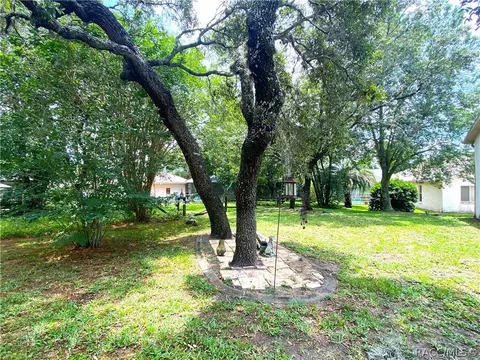 335 N Turkey Pine Loop, Lecanto, FL 34461 photo 9