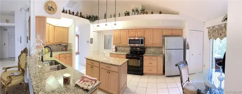 335 N Turkey Pine Loop, Lecanto, FL 34461 photo 18