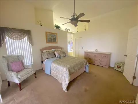 335 N Turkey Pine Loop, Lecanto, FL 34461 photo 26