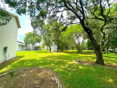 335 N Turkey Pine Loop, Lecanto, FL 34461 photo 43