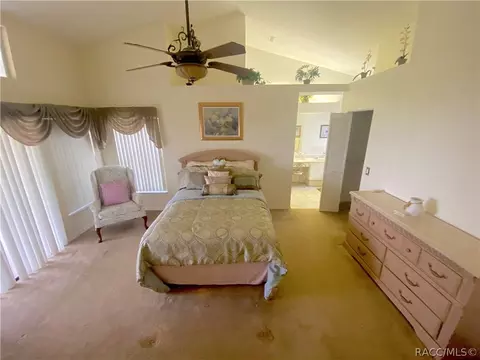 335 N Turkey Pine Loop, Lecanto, FL 34461 photo 25