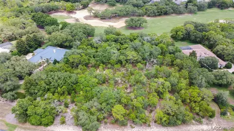 3899 W Shadow Creek Loop, Lecanto, FL 34461 photo 3