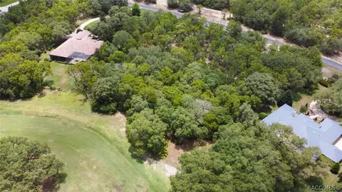 3899 W Shadow Creek Loop, Lecanto, FL 34461 photo 9