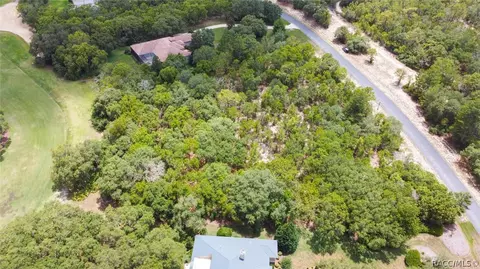 3899 W Shadow Creek Loop, Lecanto, FL 34461 photo 8