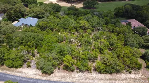 3899 W Shadow Creek Loop, Lecanto, FL 34461 photo 20