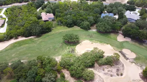 3899 W Shadow Creek Loop, Lecanto, FL 34461 photo 15